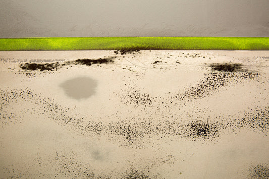 Dune Grass at Low Tide II by Scott Farrell