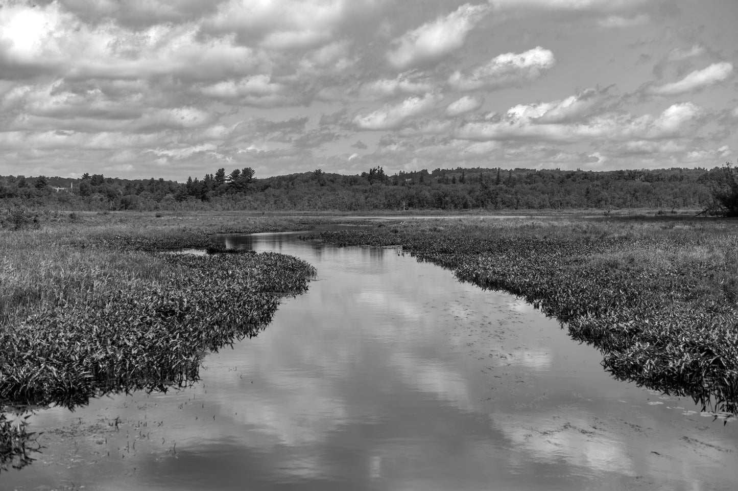 No. 16 for "Interpretations" by Claudia Baez