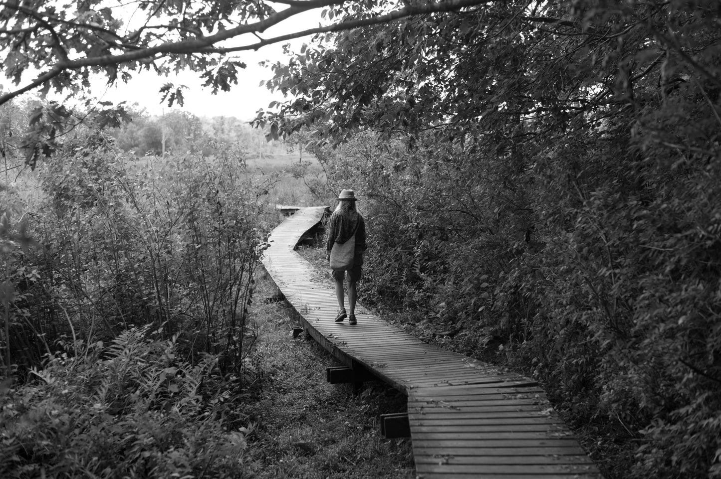 No. 17 for "Interpretations" by Amanda Kavanagh