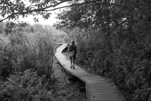 No. 17 for "Interpretations" by Amanda Kavanagh