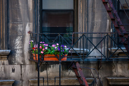 Satori III for "Interpretations" by Robbii Wessen