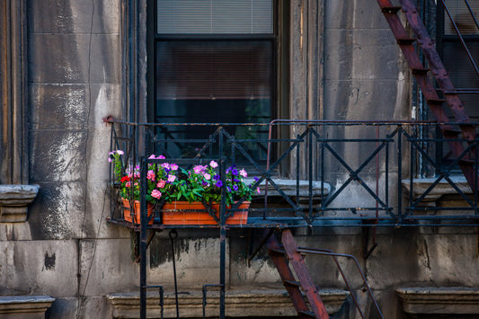 Satori III for "Interpretations" by Robbii Wessen