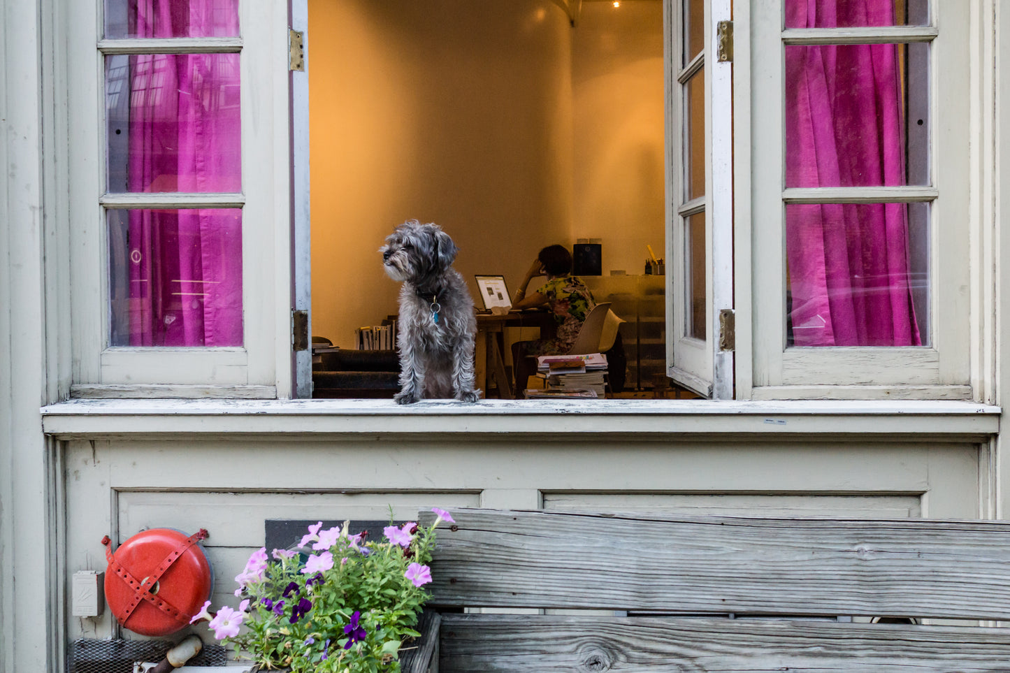 Sleep for "Interpretations" by Dena Sturm