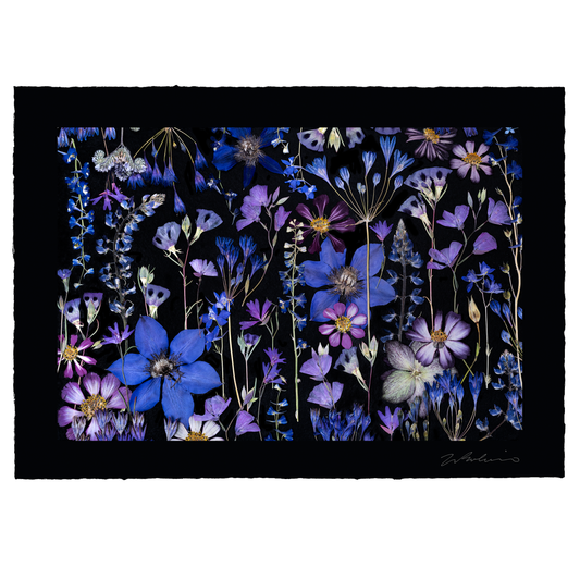 SAPPHIRE SKY, Framed by Tricia Paoluccio