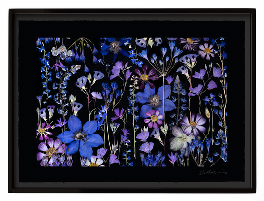 SAPPHIRE SKY, Framed by Tricia Paoluccio