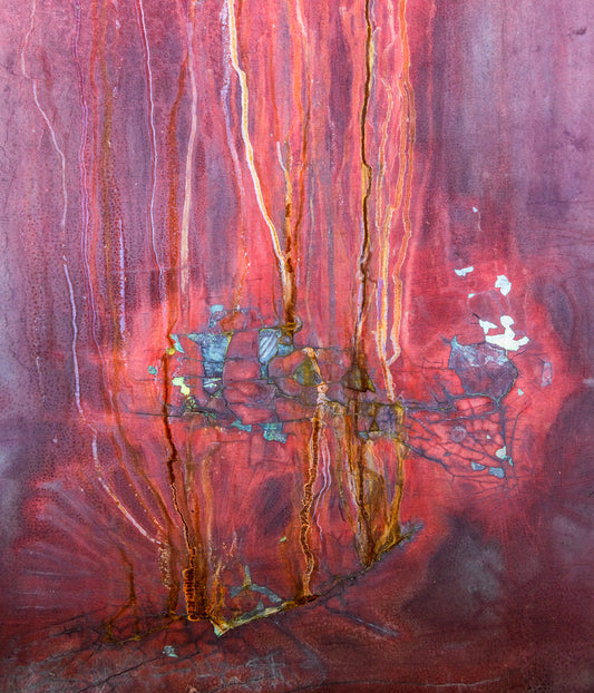 Red Hibiscus, Crop by Scott Farrell