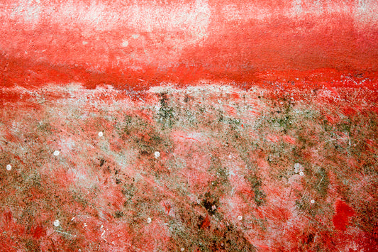 Roseate Requiem, Framed by Scott Farrell