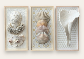 Alice Gunther Objets | Bleached Trio of Tiles