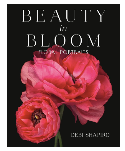 Beauty in Bloom: Floral Portraits by Debi Shapiro