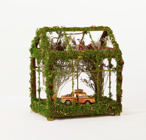 Home Grown by Emily Sigall