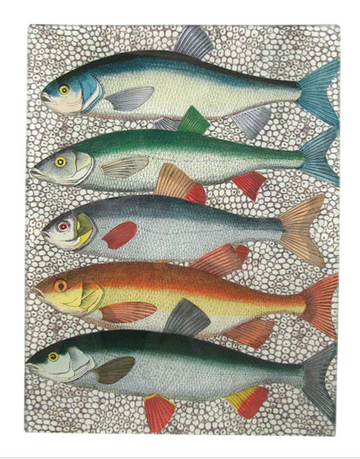 John Derian | Some Fish 8 X 10.5