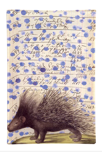 John Derian | Porcupine 6x9 Rectangular Tray