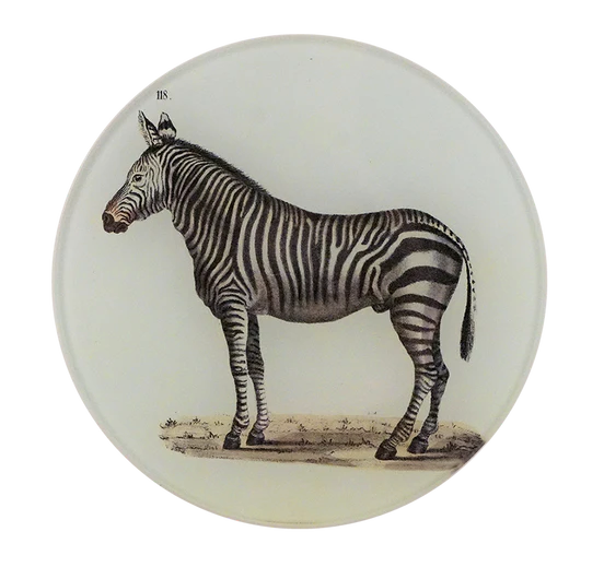 John Derian | Zebra 118 5 1/4