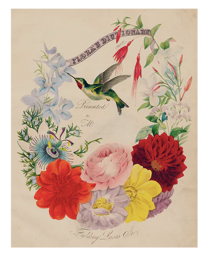 Flora's Dictionary (Hummingbirds) (p 262) Book Page 11 x 14" Rect. Tray