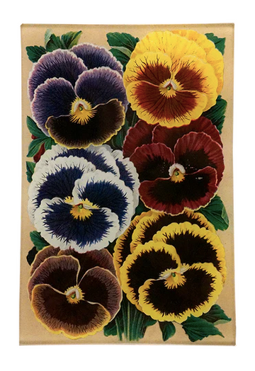 Pansies 6 x 9