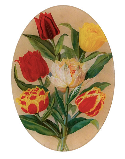 JOHN DERIAN | Tulip Bouquet 10x14 Oval Platter