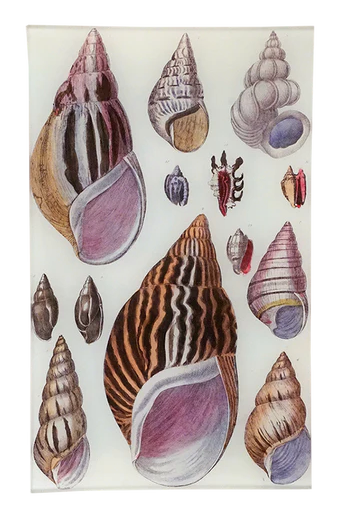 John Derian | Agate Shells 7x11.5 Rect. Tray