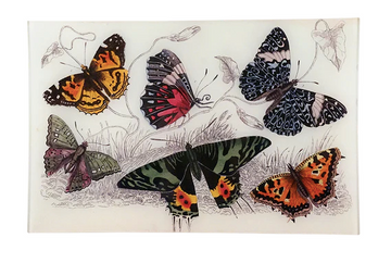 JOHN DERIAN | Butterflies XI 9x14 Letter Tray