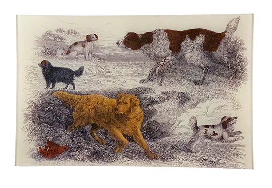 JOHN DERIAN | Dogs XIV 9x14 Letter Tray