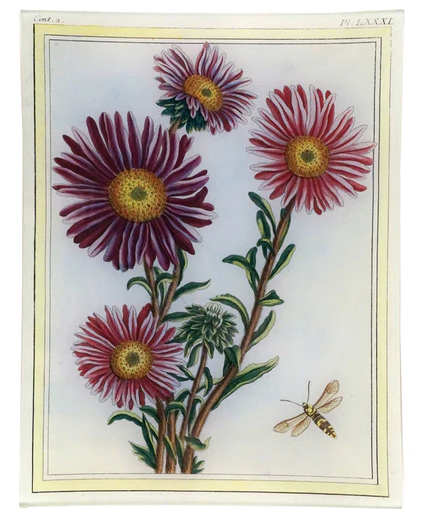 JOHN DERIAN | Asters 10x13 Rect. Tray