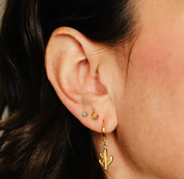 Tiny Horseshoe studs