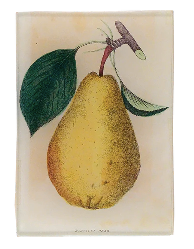 John Derian Company | Bartlett Pear 3.5 x 5" Tray