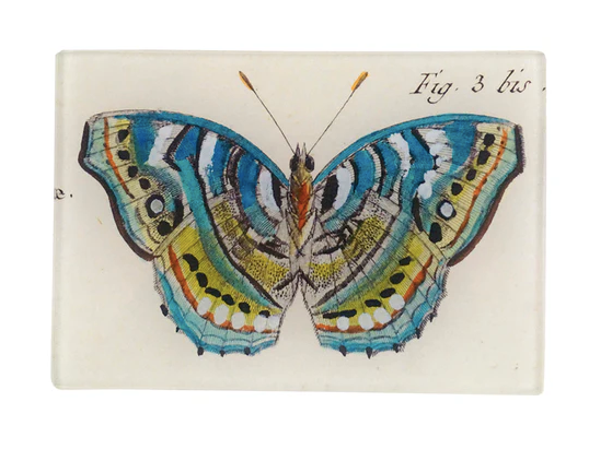 John Derian Company | Blue Green Butterfly - 3.5 x 5" Tiny Rect. Tray