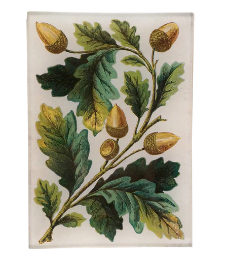 John Derian Company | Acorn Bunch Mini Tray