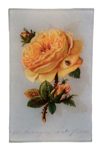 John Derian Company | Yellow Rose 5" x 8" Rect. Tray