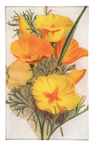 John Derian Company | California Poppy 5" x 8" Rect. Tray