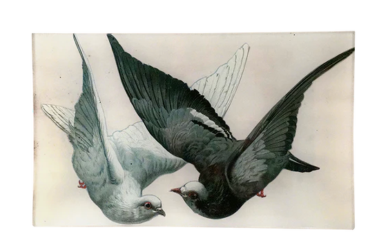 John Derian Company | Two Doves 7" x 11.5" Tray