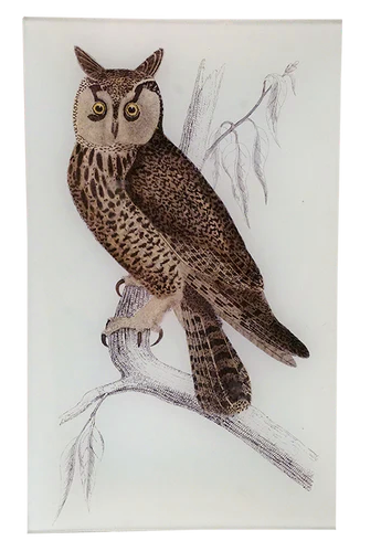 John Derian Company | Owl 7" x 11.5" Tray (Copy)