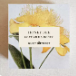 The Quiet Botanist | Honey Bee Handmade Soap