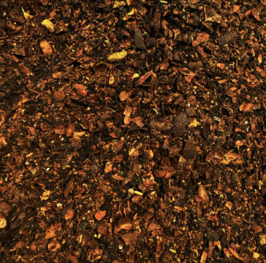 The Quiet Botanist | Cacao Chai Tea Gift Set