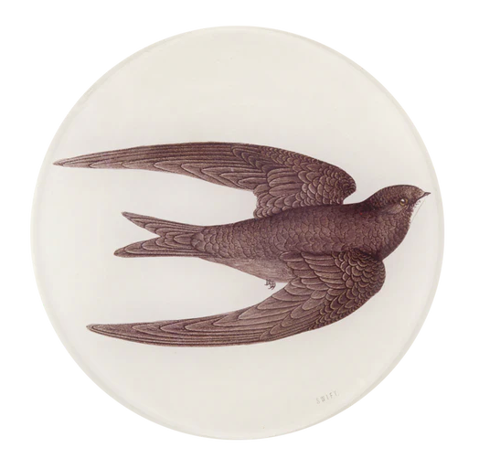 John Derian | Swift Bird (Swallow) - 5 1/4 round plate