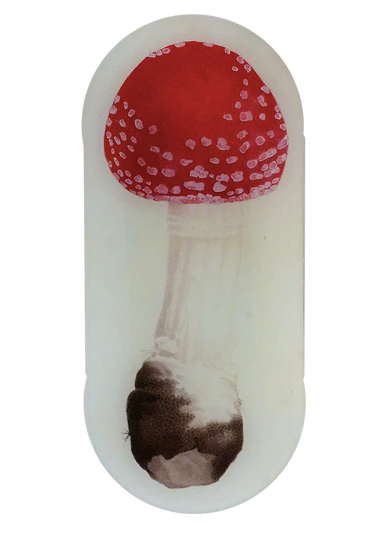 John Derian | Red Mushroom Fig. 2 - 6 x 12" Oblong Tray
