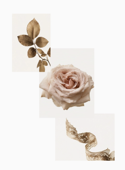 AYDRY & Co. | Vintage Rose Hand & Body Wash