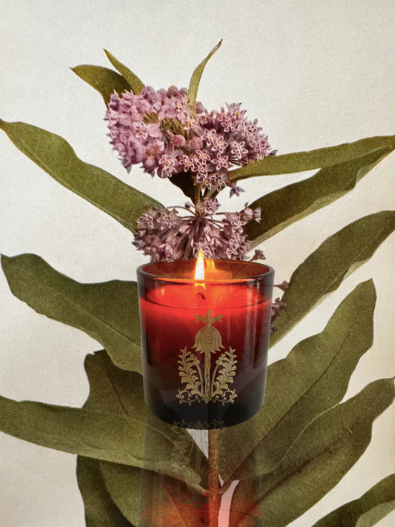 The Quiet Botanist | Forever Flowers Candle