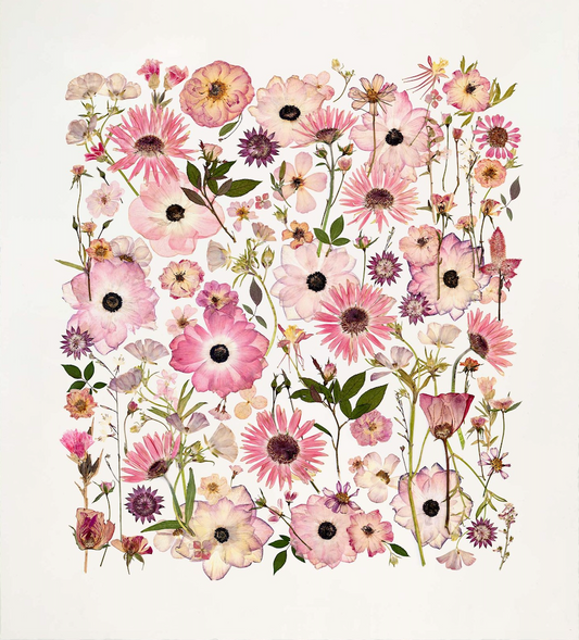 FOREVER PINK, Framed by Tricia Paoluccio