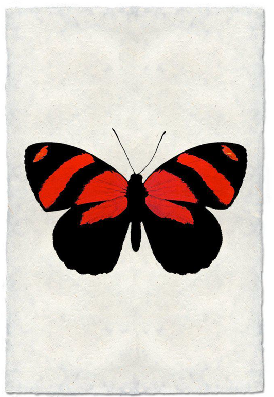 Butterfly #10