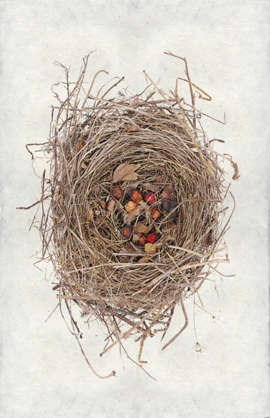 Red Berry Nest