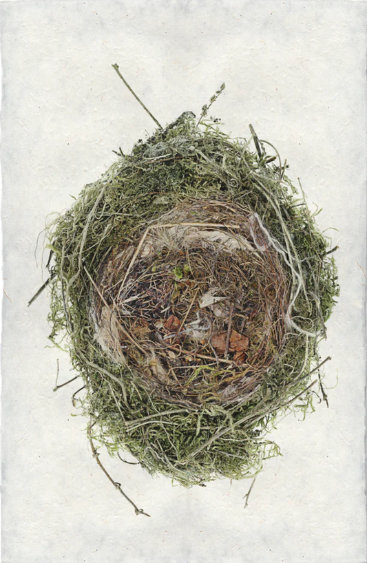 Nested in Lichen