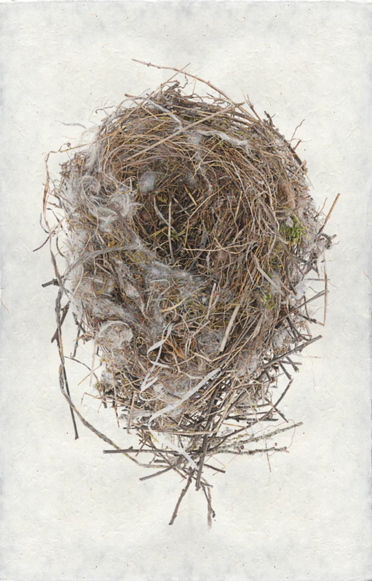 Cotton & Twine