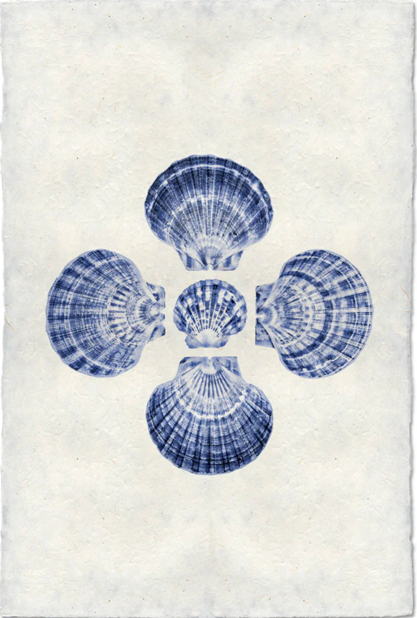 Five Scallops, Blue