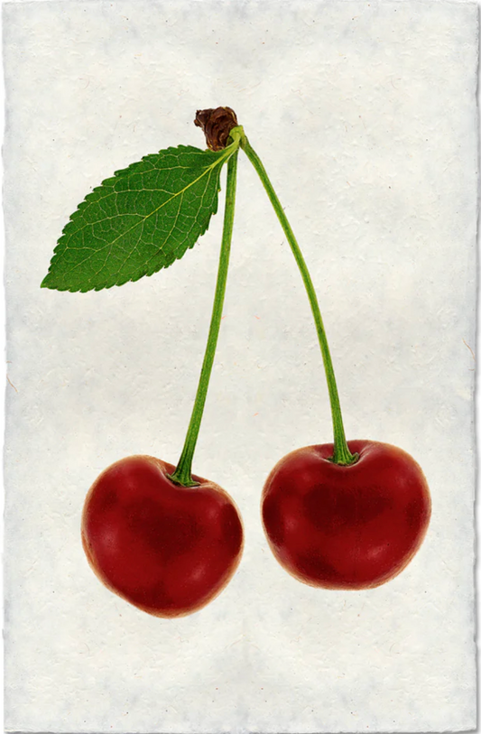 DOUBLE CHERRY