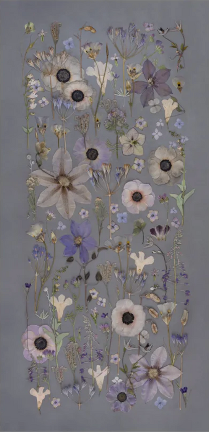 Gray Gardens, Framed by Domain of the Flowerings