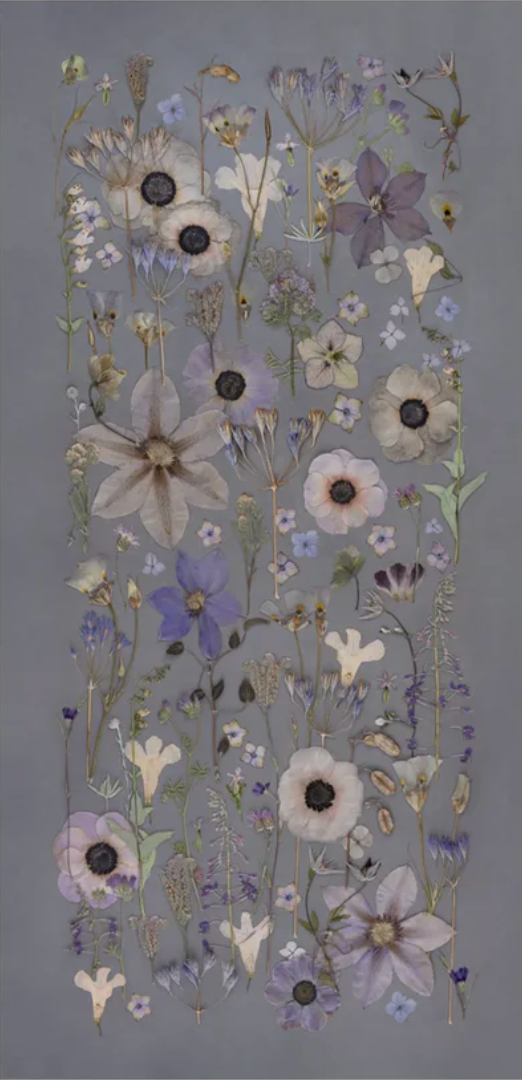 Gray Gardens by Tricia Paoluccio