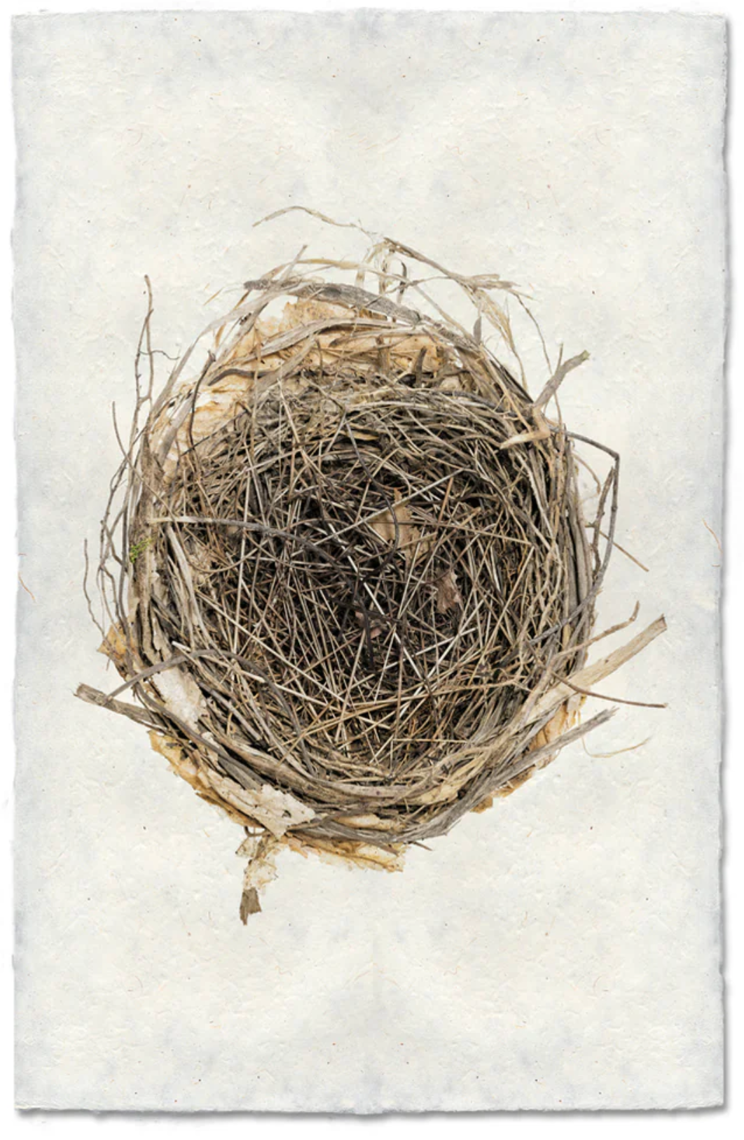 Sparrow's Nest