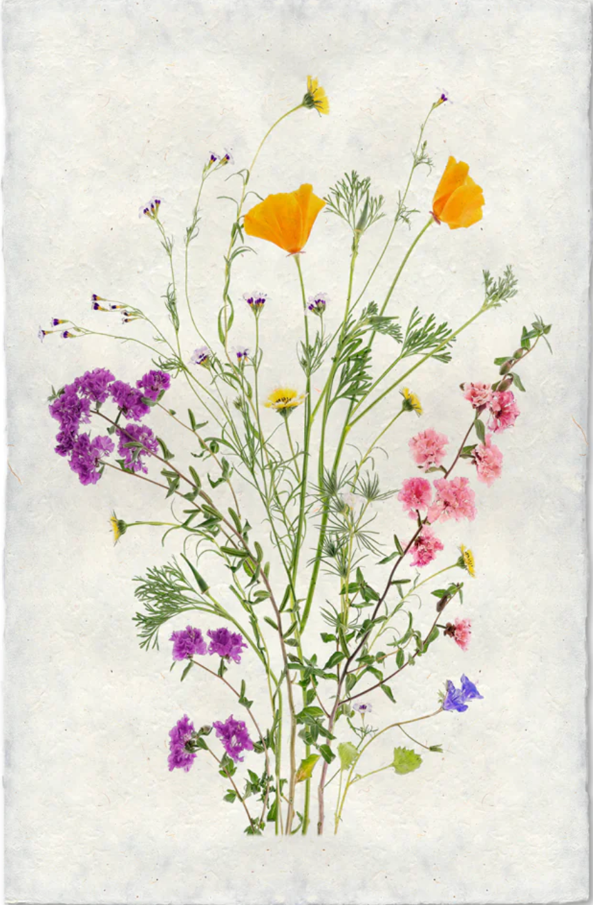 Wildflowers of the West