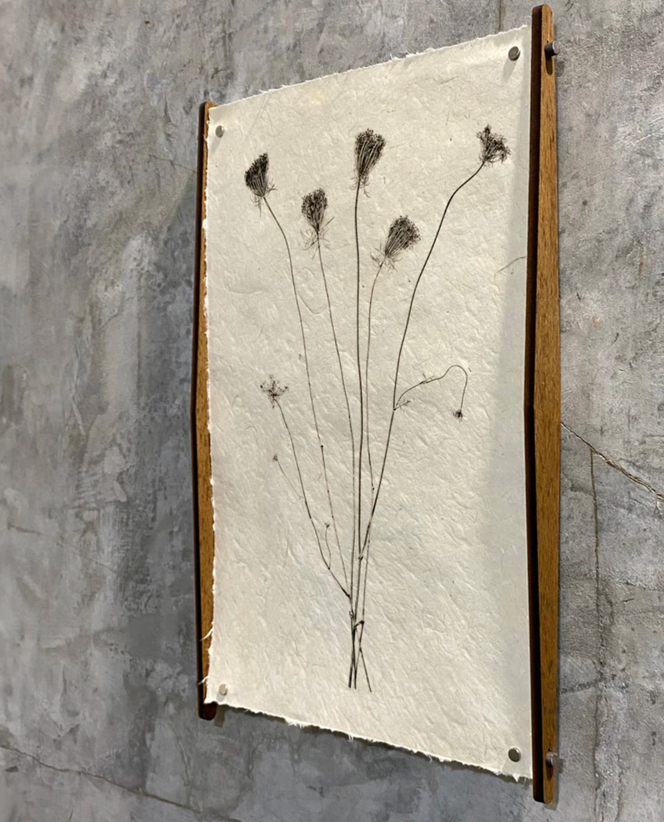 Hans Veener Print Display
